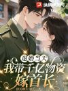 退婚当天,我带千亿物资嫁首长